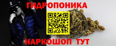 гидра Изобильный